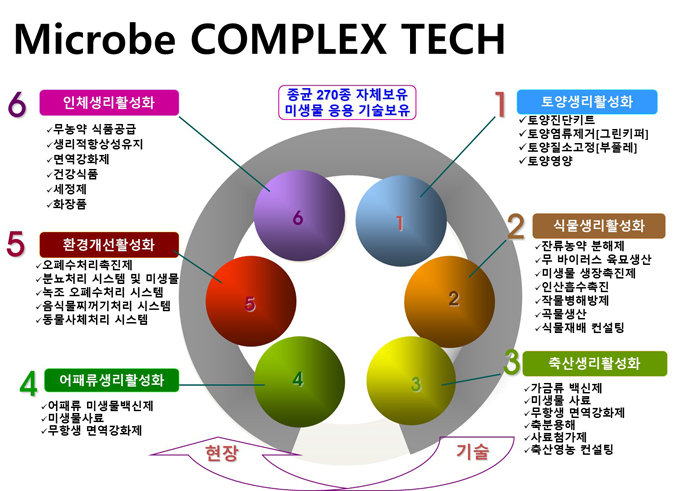 사업분야