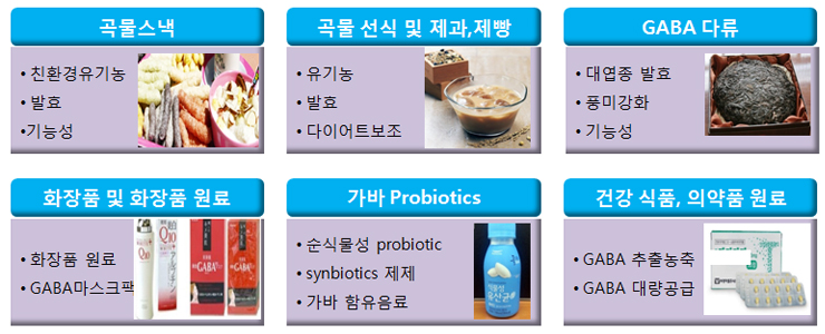 GABA발효 기술을 응용한 분야 및 제품군